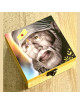 Shri Sai Wooden Curio Box