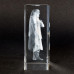 3D Crystal - Shri Sai Bhiksha