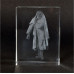 3D Crystal - Shri Sai Bhiksha