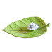 Ceramic leaf Incense holder plate with white lotus flower