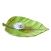 Ceramic leaf Incense holder plate with white lotus flower
