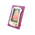 Shri Ganesh & Lakshmi ji golden small frames Set
