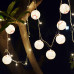 Paper Lamp with Led String Lights ( Set of 10)