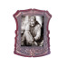 Wooden Bronze Shri Sai Photo Frame