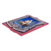 Wooden Bronze Shri  Sai Photo Frame
